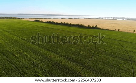 Similar – Image, Stock Photo Aerial View Of Vegetable Gardens In Small Town Or Village. Skyline In Summer Evening. Village Garden Beds In Bird’s-eye View