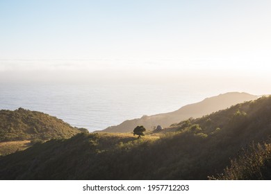 An Aerial View Of Point Sur State Historic Park