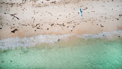 Aerial View Of A Polluted Beach With Plastic Debris And Natural Waste Scattered On The Sand, Highlighting Environmental Issues And The Need For Ocean Conservation