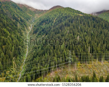 Similar – Foto Bild Coniferous forest in the alps