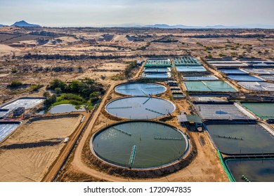 Aerial view of the prawn farm with aerator pump in front of Ninh Phuoc, Ninh Thuan, Vietnam. The growing aquaculture business continuously threatening the nearby wetlands.