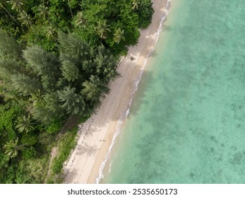 Aerial view of a pristine tropical beach with lush greenery and clear turquoise waters. - Powered by Shutterstock