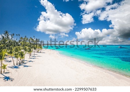 Aerial view of Punta Cana (Dominican Republic)caribbean exotic beach with white sand, palm trees, and turquoise water. Paradise-like beauty for a tropical getaway.