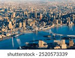 Aerial view of the Rainbow Bridge and downtown Tokyo on a cold winters morning