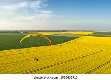 vue aérienne d'un champ de colza avec horizon de ciel bleu survolé par un paramoteur au printemps. Département de l'Essonne, région Ile-de-France, France