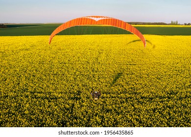 Vue aérienne d'un champ de colza vu du ciel au printemps , soleil bas et ciel bleu , survolé par un parapente motorisé. Région d'Ile-de-France, France
