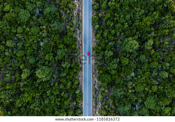 Aerial view of a red car that runs along a road\
flanked by a green\
forest.