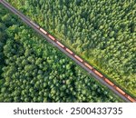 Aerial view of a red train transporting materials on tracks through a coniferous forest in Europe, delivery and transportation of goods, economic development, import, export, and railway transport.