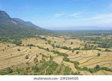 Aerial view of rice field pattern against mountain end of raining season.