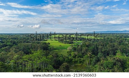 Aerial view of rice fields and tropical forest, Aceh, Indonesia.
