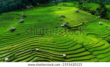 Aerial view of Rice terrace at Ban pa bong piang in Chiang mai, Thailand.