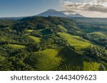 aerial view of rice terrace and mountains in bali, indonesia