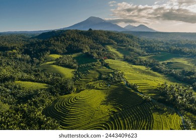 aerial view of rice terrace and mountains in bali, indonesia - Powered by Shutterstock