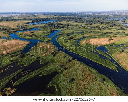 Aerial view of river channels in summer.