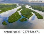 Aerial view of a river delta with green mangroves and islands midstream