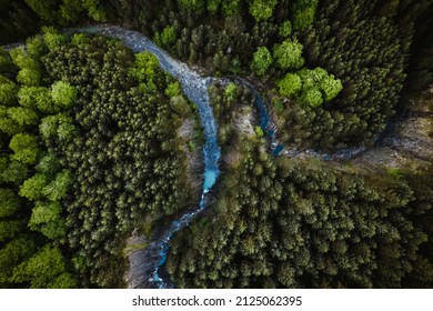 Aerial view of river flowing admist trees in forest