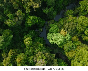 Aerial View of a River flowing in the lush green Forest  - Shutterstock ID 2287771895