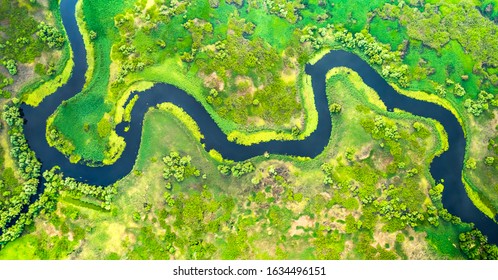 Aerial View Of River Meander In The Lush Green Vegetation Of The Delta