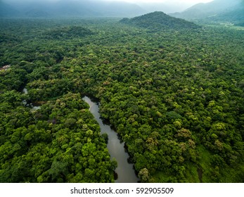 Aerial View Of River In Rainforest, Latin America