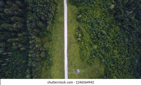 Aerial View Of Road Among The Forest And Trees. Clip. Overhead Aerial Top View Over Straight Road In Colorful Countryside Autumn Forest. Straight-down Above Perspective. Road Through The Green Spruce