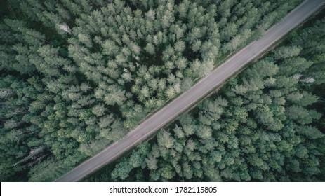 Aerial View Of Road Among The Forest And Trees. Overhead Aerial Top View Over Straight Road In Dark Forest. Straight-down Above Perspective. 