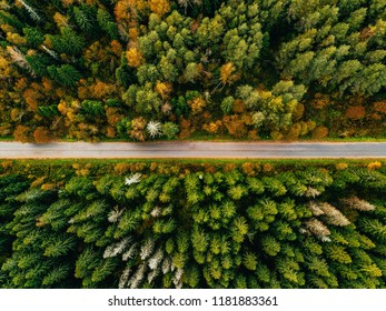 Aerial view of road in autumn forest. Fall landscape with road, red, yellow and green trees.