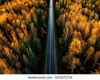 Aerial view of road in beautiful autumn forest in rural Finland. Beautiful landscape with rural road and trees with colorful leaves.