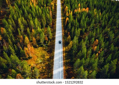 Aerial view of road in beautiful autumn forest in rural Finland. Beautiful landscape with rural road and trees with colorful leaves.