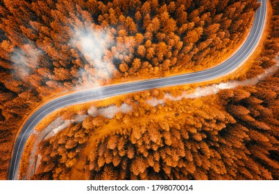 Aerial view of road in beautiful orange forest in low clouds at sunset in autumn. Colorful landscape with roadway, pine trees in fog in Carpathian mountains in fall. Top view of winding road. Travel