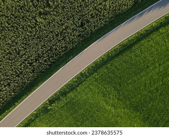 Aerial view of a road between fields in the countryside 