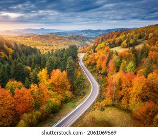 Aerial view of road in colorful forest at sunset in autumn. Top view from drone of mountain road in woods. Beautiful landscape with roadway, blue sky, trees with red and orange leaves in fall. Travel