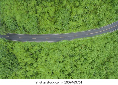 Aerial View Of Road In Forest