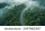 Aerial view of a road in a forest with fog, taken from a top down drone photo. A car is driving on an asphalt highway road through a dense green rainforest landscape in Thailand. In the style of comme