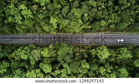 Aerial view road going through forest, Road through the green forest, Aerial top view car in forest, Texture of forest view from above, Ecosystem and healthy environment concepts and background.