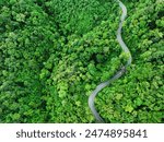 Aerial view of a road in the middle of the forest , road curve construction up to mountain