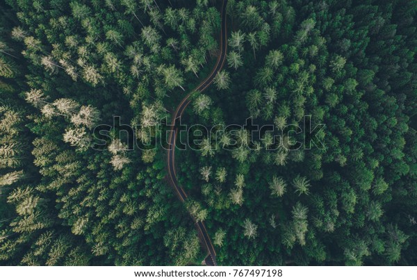 森の真ん中の道路の空撮 の写真素材 今すぐ編集