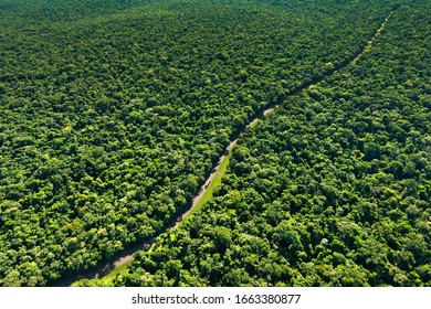 Aerial View Of A Road In The Middle Of The Jungle, Parana State, Brazil