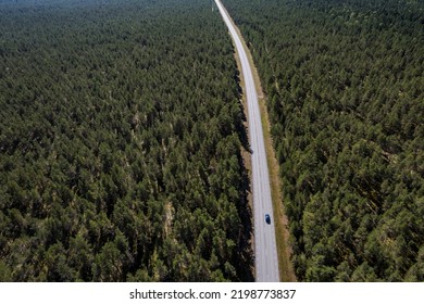 Aerial View Of A Road In The Middle Of The Woods. View Over Pine Tree Forest.