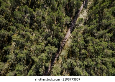 Aerial View Of A Road In The Middle Of The Woods. View Over Pine Tree Forest.