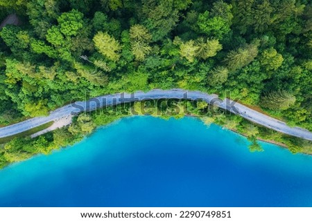 Aerial view of road near blue lake, forest at sunrise in summer. Bled lake, Slovenia. Travel. Top view of beautiful road, green trees in spring. Landscape with highway and sea bay. Road trip. Nature