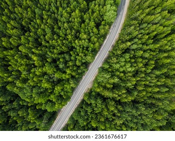 Aerial View of a road on a forest. Random cars drive on the road in the middle of forest trees - Powered by Shutterstock