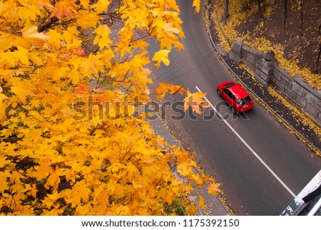 Aerial view of road with red car in beautiful autumn forest. Beautiful landscape with rural road, trees with red and orange leaves. Highway through the park. Top view. Nature background.