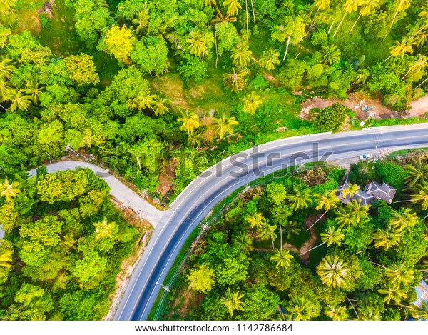 Aerial view road side in the forest with many\
tree for travel and\
vacation