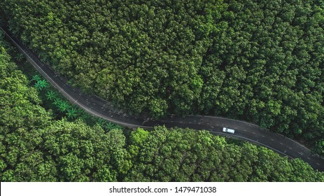 Aerial view of the road through forest in southeast asia.