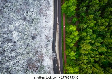 Aerial View Of The Road Through The Forest In Summer And Winter.