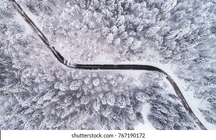 Aerial view of the road through a winter forest