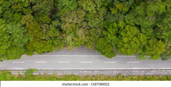 Aerial view of road and tree tops at Lake Motosu, Yamanashi Prefecture, Japan