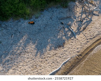 Aerial view of a rocky beach with driftwood and an orange object. - Powered by Shutterstock