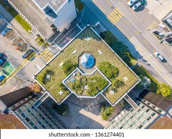 Aerial View Of Rooftop Garden In Urban Residential Area