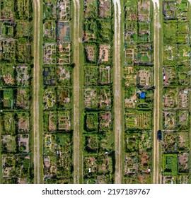 Aerial View Of Rows Of Family Garden Plots In An American Community Garden Growing Flowers And Vegetables